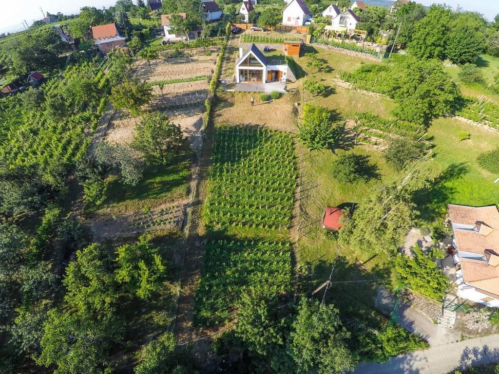 Ég&Föld Borvendégház Hotel Szekszárd Quarto foto